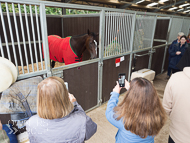 FB161021-113 - Fergal O'Brien Stable Visit